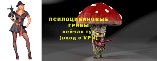 МДПВ Мегион