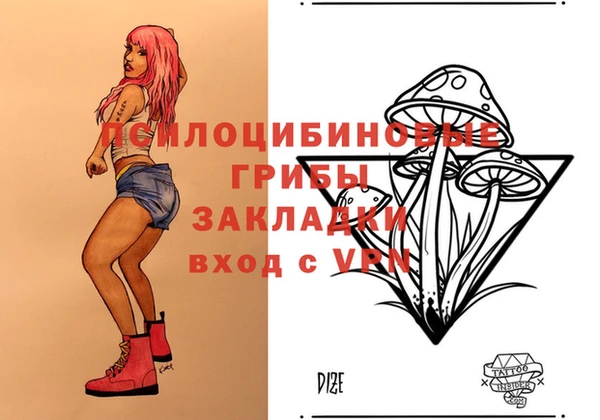 прущий лед Магас