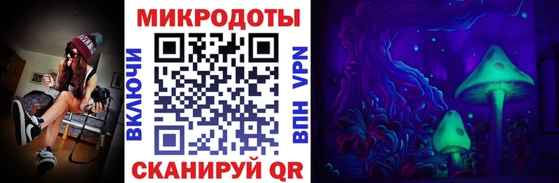 Купить где  Апатиты  Галлюциногенные грибы GOLDEN TEACHER 