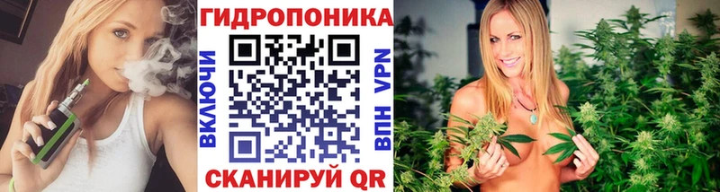 Шишки марихуана планчик  Купить  Апатиты 